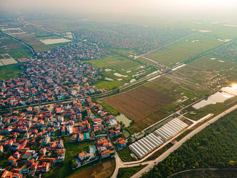 Hồng hạc phú mỹ hưng
